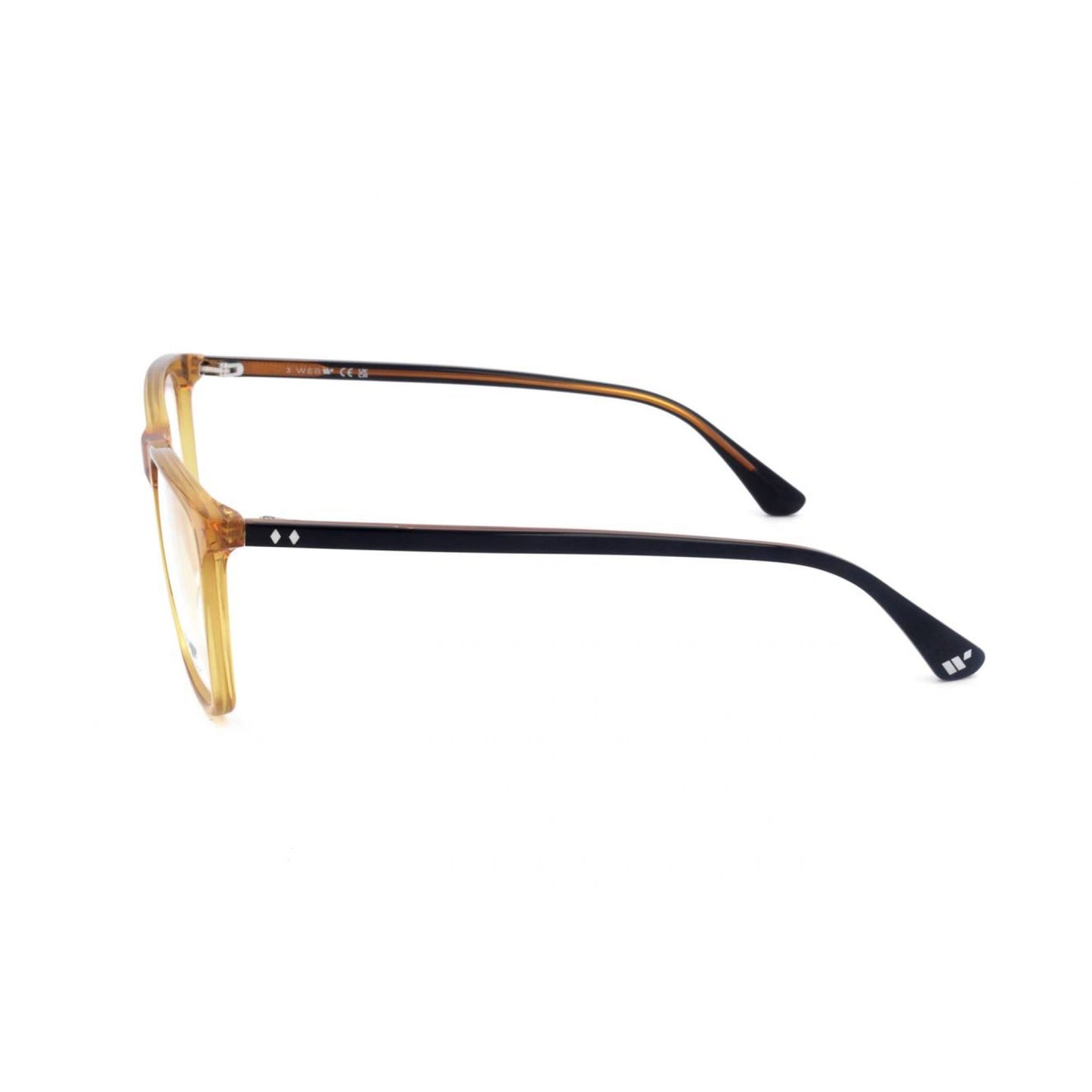 Web WE5418