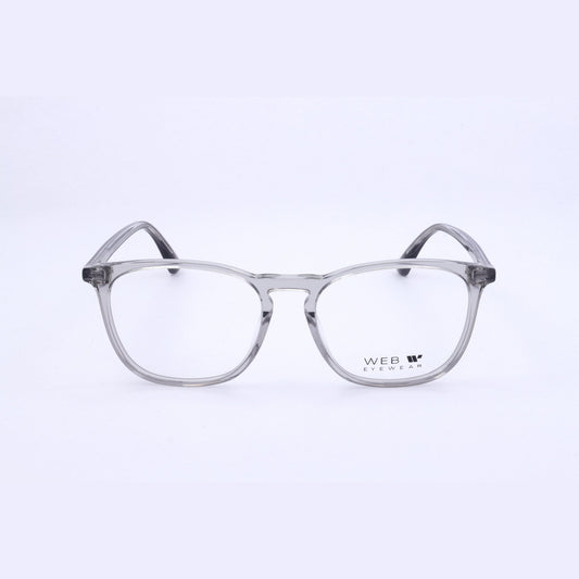 Web WE5419