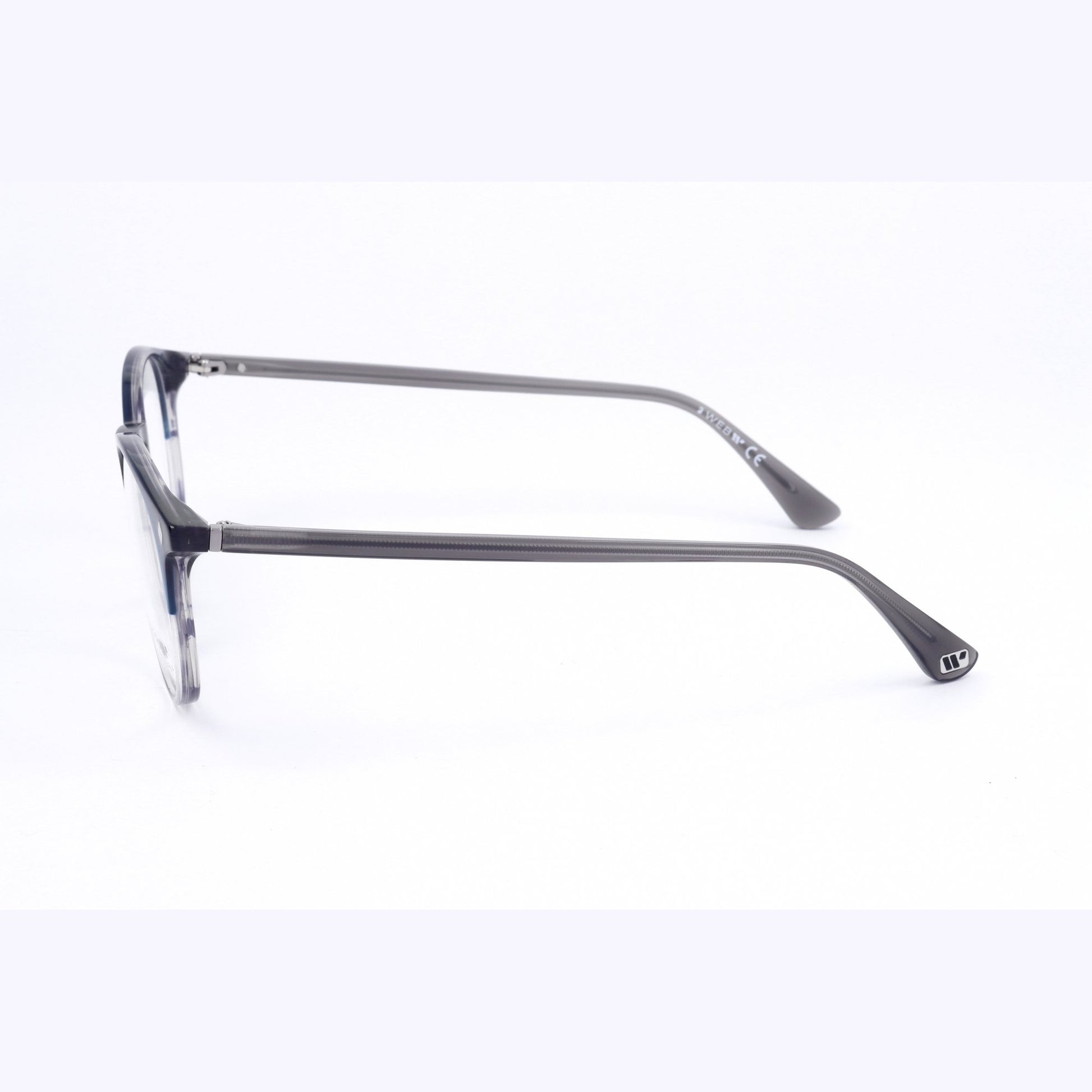 Web WE5404